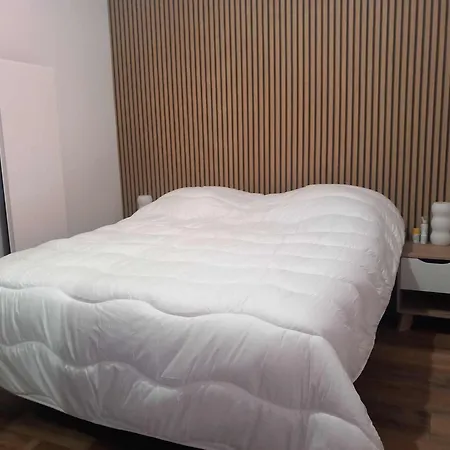 Magnifique Appartement 4 Personnes Mont Dore Les Thermes Appartement Le Mont-Dore